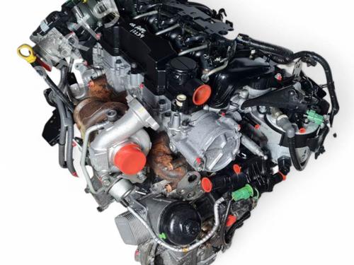 Used Engine Engine FORD FIESTA VI (CB1, CCN) 1.6 TDCi (90 hp) 40175182 40175182