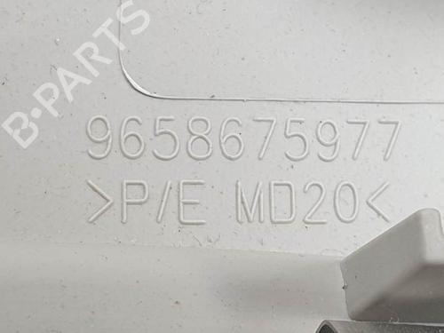 Interior roof light PEUGEOT 3008 I MPV (0U_) 1.6 BlueHDi 120 | BP27978052I8 