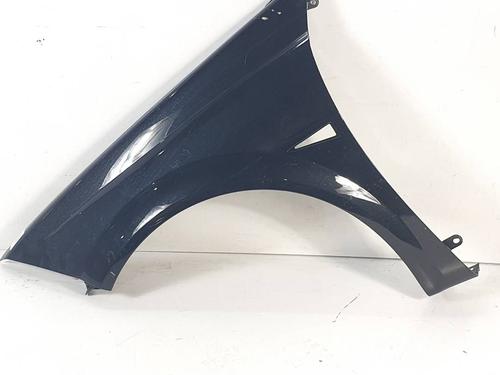 Used Left front fenders Left front fenders RENAULT MEGANE II Coupé-Cabriolet (EM0/1_) 1.9 dCi (131 hp) 24929248 24929248