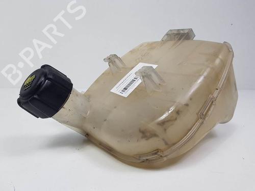 expansion-tank-renault-twingo-ii-cn0_-12-cn0d-8200369313-2007-12527506 main image