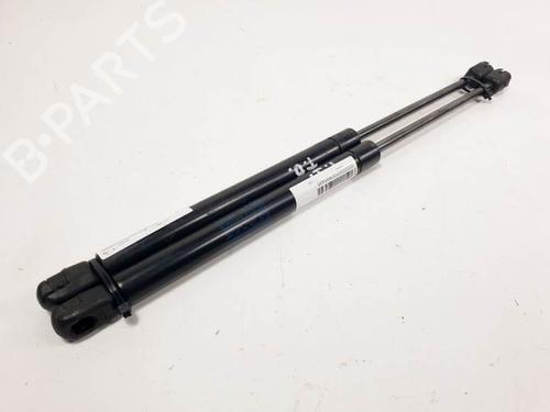 Tailgate lift support AUDI TT (8N3) 1.8 T quattro 018756  | 615 N