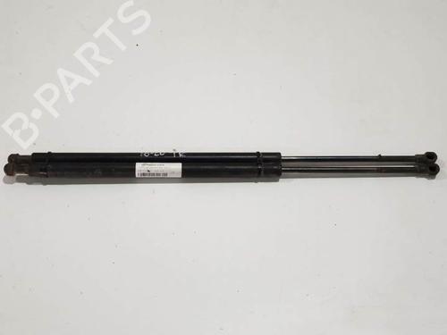 Tailgate lift support BMW X5 (E53) 3.0 i | BP13953011C138 