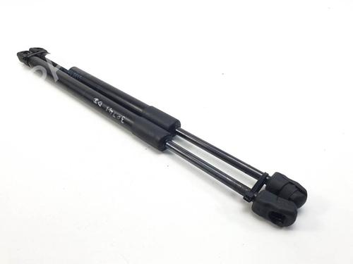 hood-lift-support-bmw-x5-f15-f85-2013-2014-2015-2016-2017-2018-27888633 main image