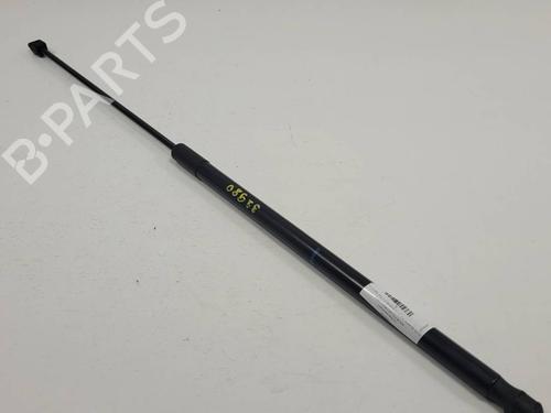 hood-lift-support-audi-a6-c6-4f2-2004-2005-2006-2007-2008-2009-2010-2011-34515608 main image
