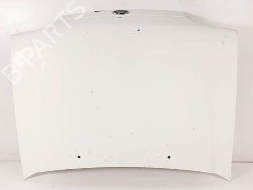 Used Hood FORD FIESTA Box Body/MPV (F3L, F5L) 1.8 D (60 hp) 29989379