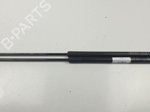 tailgate-lift-support-renault-koleos-i-hy_-2008-24340522 main image