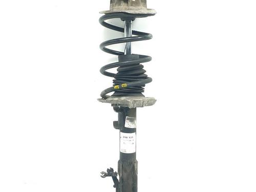 BP29989771M17 main image