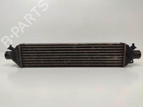 Used Intercooler FIAT BRAVO II (198_) 1.6 D Multijet (198AXH1B) (105 hp) 9717189