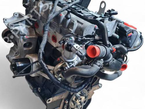 Moteur VW GOLF IV (1J1) 1.6 16V (105 hp) 28498993