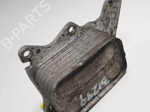 Oil radiator MINI MINI CLUBMAN (R55) Cooper S | BP29820401M33