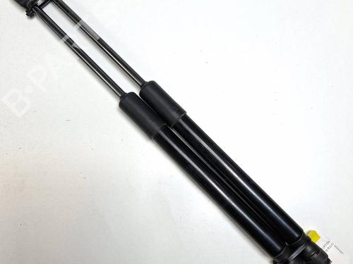 tailgate-lift-support-skoda-citigo-nf1-2011-2012-2013-2014-2015-2016-2017-2018-2019-40177102 main image