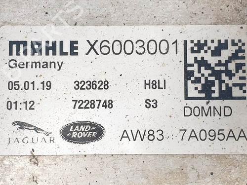 Oil radiator SEAT LEON (5F1)  | BP17062856M33 