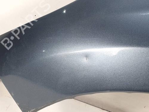 Left front fenders PEUGEOT 207 (WA_, WC_) 1.4 HDi | BP29726509C41