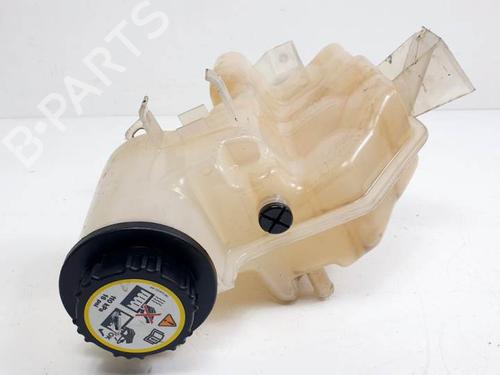 Expansion tank LAND ROVER RANGE ROVER SPORT I (L320) 2.7 D 4x4 | BP13462924C120 