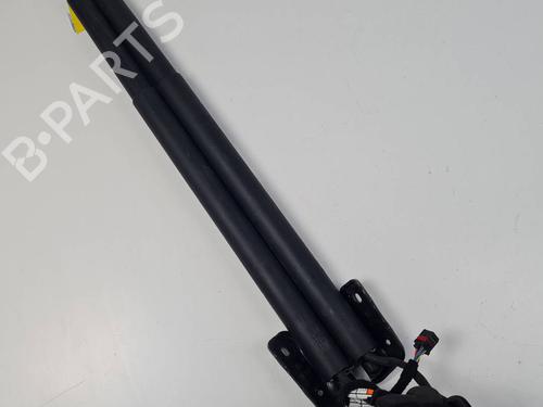 Used Tailgate lift support Tailgate lift support ALFA ROMEO STELVIO (949_) 2.2 D Q4 (949.AXB2A) (209 hp) 40175841 40175841