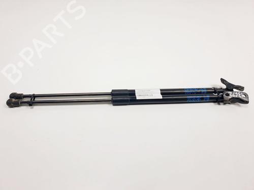 Used Tailgate lift support CHEVROLET AVEO Hatchback (T300) 1.4 (101 hp) 16641531