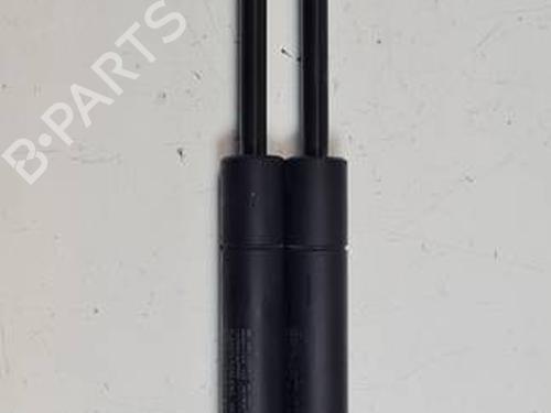 Hood lift support LAND ROVER RANGE ROVER EVOQUE (L538) 2.0 D | BP29989611C139