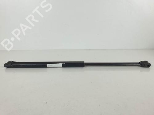 Used Tailgate lift support Tailgate lift support RENAULT SCÉNIC II (JM0/1_) 1.5 dCi (JM0F) (82 hp) 14977051 14977051