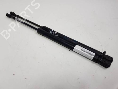 Tailgate lift support BMW 1 (E87) 120 d | BP13956831C138 