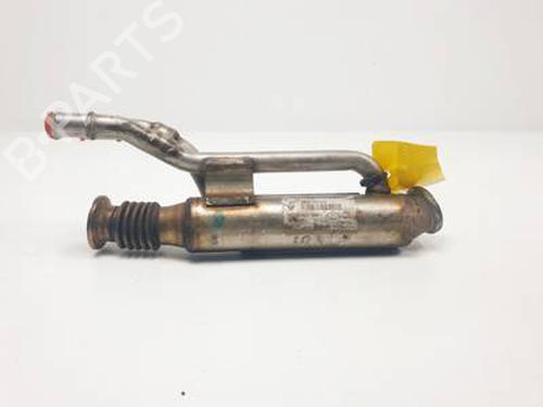 EGR-Ventil RENAULT SCÉNIC II (JM0/1_) 1.9 dCi (JM14) (131 hp) 30998345