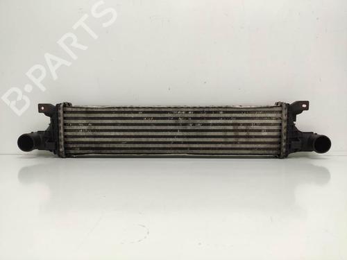 Used Intercooler Intercooler PEUGEOT 206 Hatchback (2A/C) 1.4 LPG (75 hp) 8902676 8902676