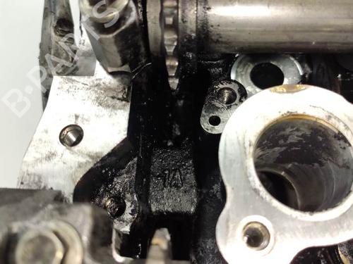 Cylinder head LAND ROVER RANGE ROVER SPORT I (L320) 2.7 D 4x4 | BP10970897M5 