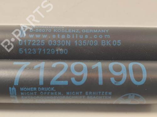 Hood lift support BMW 3 (E90) 320 d | BP29245324C139 