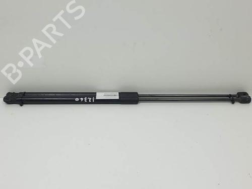 Used Tailgate lift support FORD FOCUS III 1.6 TDCi (95 hp) 16524519