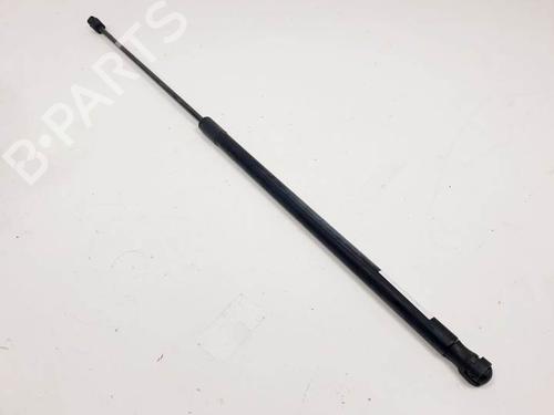 Used Hood lift support VW PASSAT B6 (3C2) 1.9 TDI (105 hp) 16425802