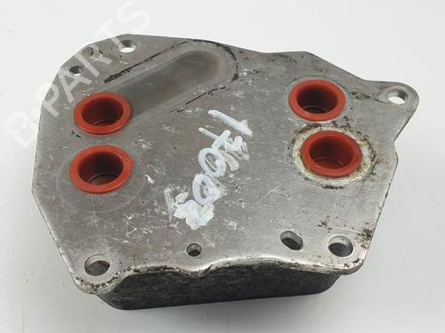 Oliekøler NISSAN INTERSTAR Van (X70) dCi 120 | BP24933709M33 