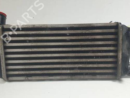 Used Intercooler FIAT 500 (312_) 1.3 D Multijet (312AXB1A) (75 hp) 30998590
