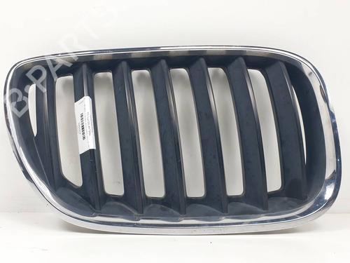 Grill Grill BMW X5 (E53) 3.0 d (218 hp) 31058840 31058840