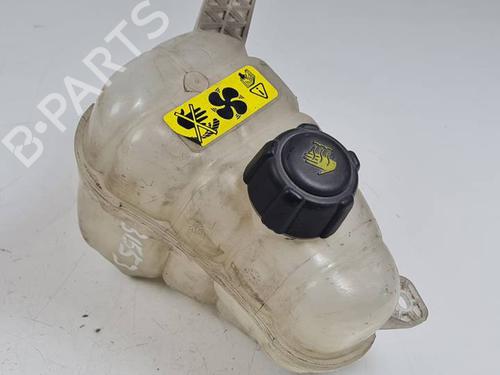 Used Expansion tank NISSAN NV200 Van 1.5 dCi 90 (M20, M20N, M20M) (90 hp) 29763119