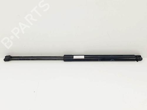 Gasdæmper bagklap Gasdæmper bagklap FORD GRAND C-MAX (DXA/CB7, DXA/CEU) 1.6 TDCi (115 hp) 25145811 25145811