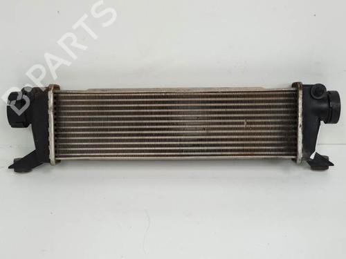 Intercooler MERCEDES-BENZ A-CLASS (W168) A 170 CDI (168.009, 168.109) | BP6847806M30 
