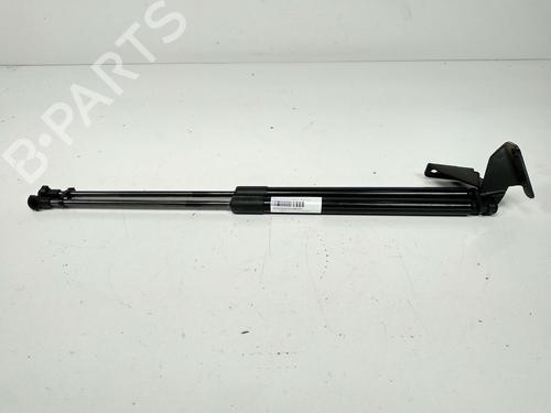 Used Tailgate lift support NISSAN QASHQAI / QASHQAI +2 I (J10, NJ10, JJ10E) 1.5 dCi (110 hp) 13954325