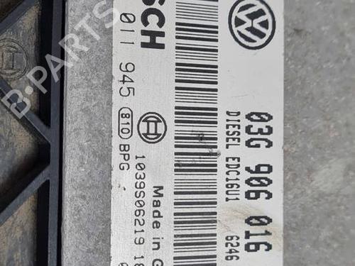 Engine control unit (ECU) VW TOURAN (1T1, 1T2) 1.9 TDI | BP29964864M57 