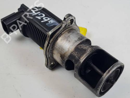 Egr für RENAULT KANGOO (KC0/1_) 1.5 dCi (KC07) (65 hp) 29298089