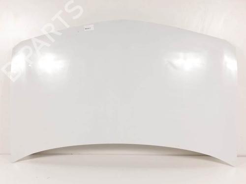 Used Hood RENAULT MEGANE II (BM0/1_, CM0/1_) 1.5 dCi (BM0F, BM0T, BM2B, CM0F, CM0T) (82 hp) 25116747