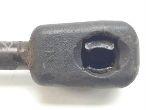 Hood lift support RENAULT MEGANE III Hatchback (BZ0/1_, B3_) 1.6 16V (BZ0H) | BP24915854C139