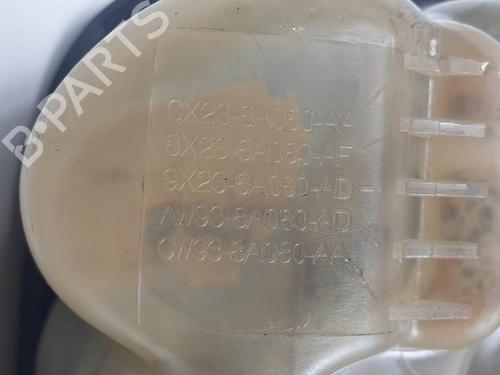 Expansion tank JAGUAR XF I (X250) 2.2 D | BP25138556C120 