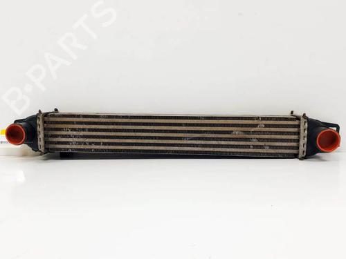 Used Intercooler CITROËN NEMO Box Body/MPV (AA_) 1.3 BlueHDi 80 (80 hp) 25116774