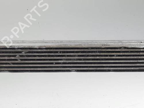Used Intercooler Intercooler RENAULT MEGANE III Hatchback (BZ0/1_, B3_) 1.5 dCi (BZ09, BZ0D, BZ1W, BZ29, BZ14) (110 hp) 28508223 28508223