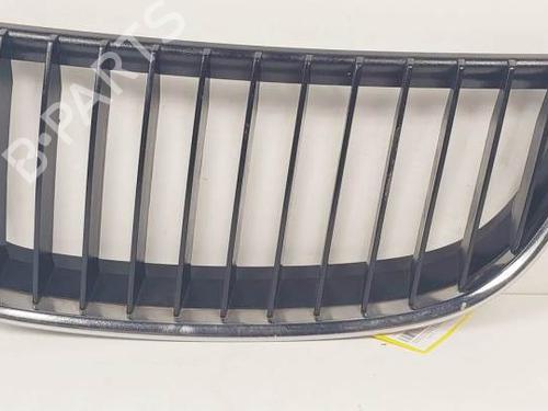 Grill BMW 3 Touring (E91) 320 d (177 hp) 19302846