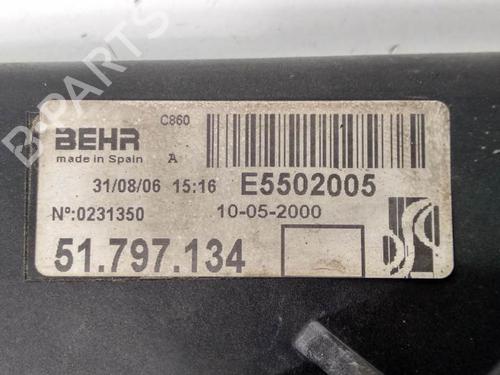 Radiator fan FIAT GRANDE PUNTO (199_)  | BP8217045M35 