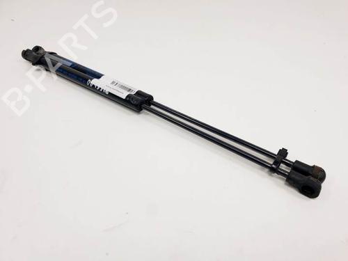 Hood lift support LAND ROVER RANGE ROVER SPORT I (L320) 2.7 D 4x4 | BP16180935C139 