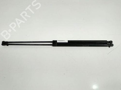 Used Tailgate lift support Tailgate lift support 13953912 13953912