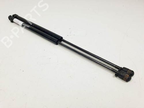 Hood lift support JAGUAR S-TYPE II (X200) 3.0 V6 | BP16541155C139 
