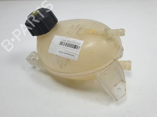 Used Expansion tank DACIA LODGY (JS_) 1.5 dCi (109 hp) 12446232