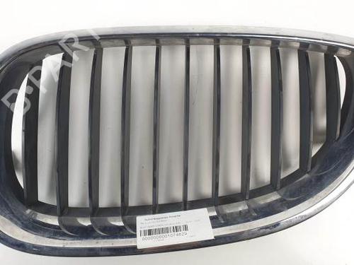 Grill BMW 5 (E60) 525 i (192 hp) 20670895